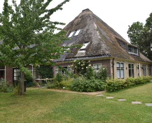 Munniky 1 (3)